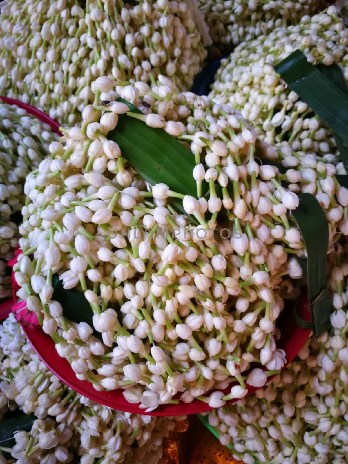 a lot of Jasmine garland flowers for play Buddha statue in Temple at the North of Thailand by shatchaya