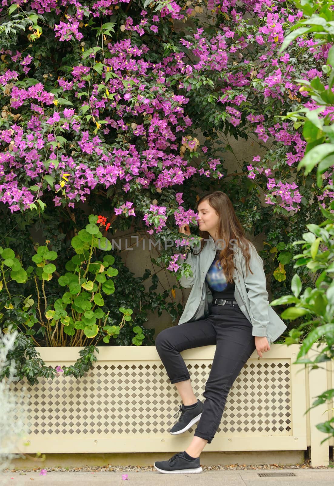 Teen girl and bougainvillea flowers in garden by mady70