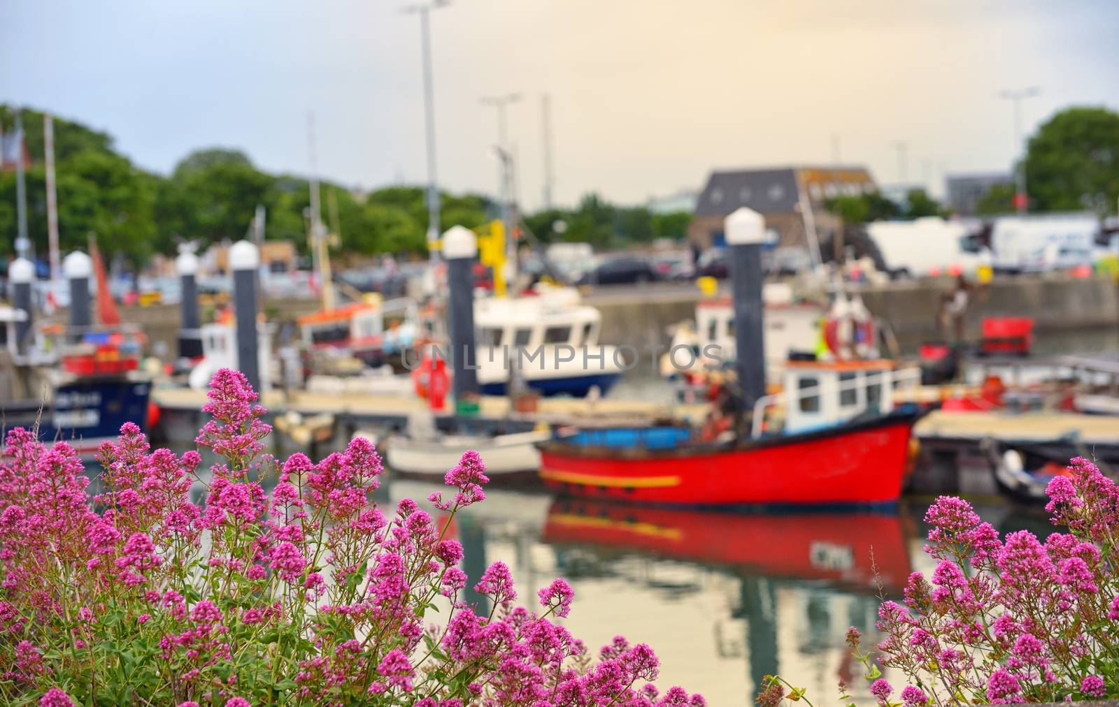 Howth harbour in Dublin, Ireland