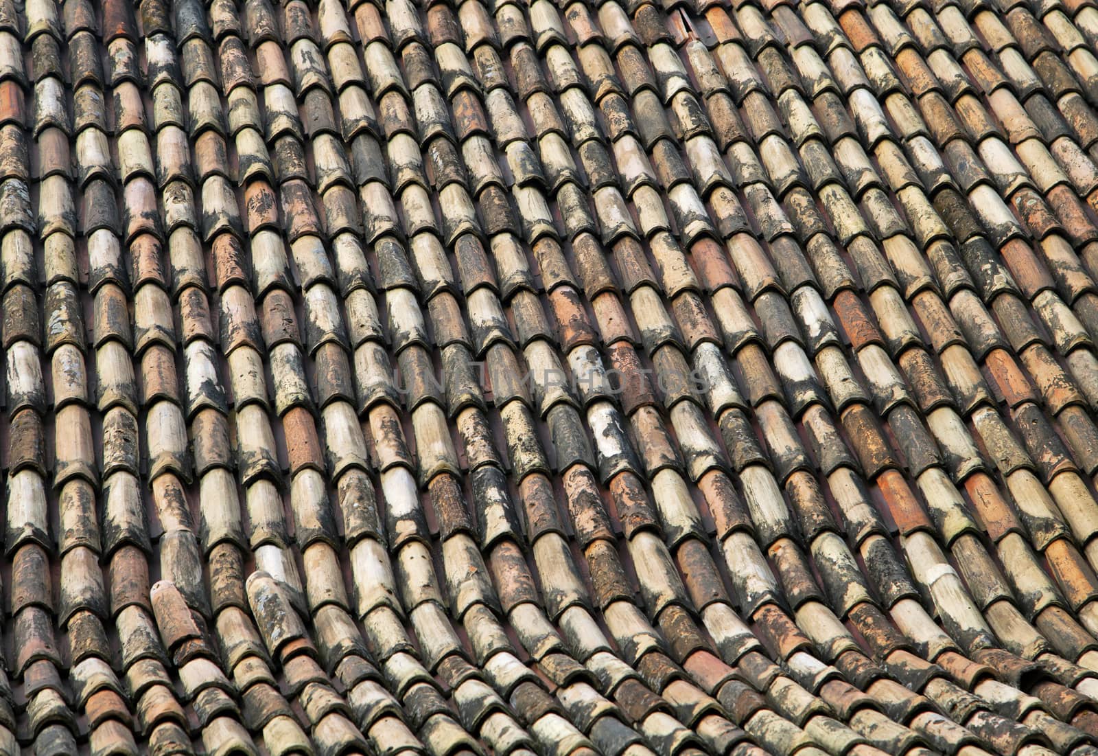 Roof of a house covered with old red tiling