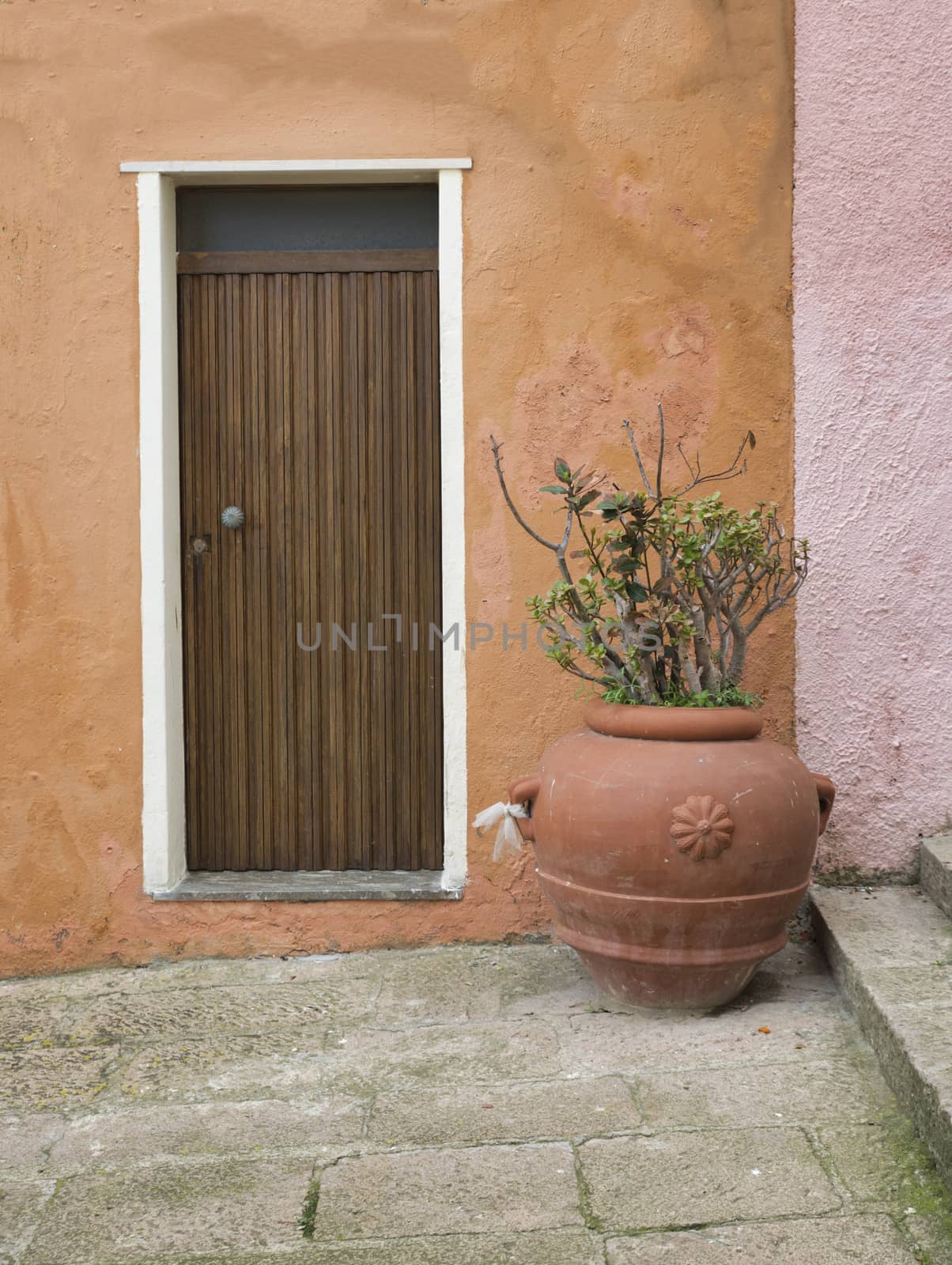 painted wall with door and vase with plant in front on the street on sardinia island italy 