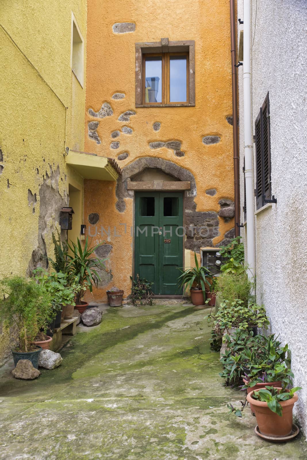 old street with painted walls in yellow orange and green wooden door with vase with plants and flowers 