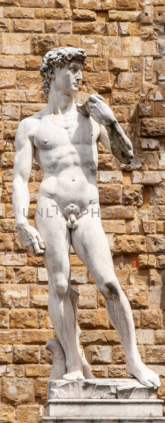 Marble statue of David created by the Italian artist Michelangelo. Copy of original renaissance scuplture in Florence, Italy by pyty