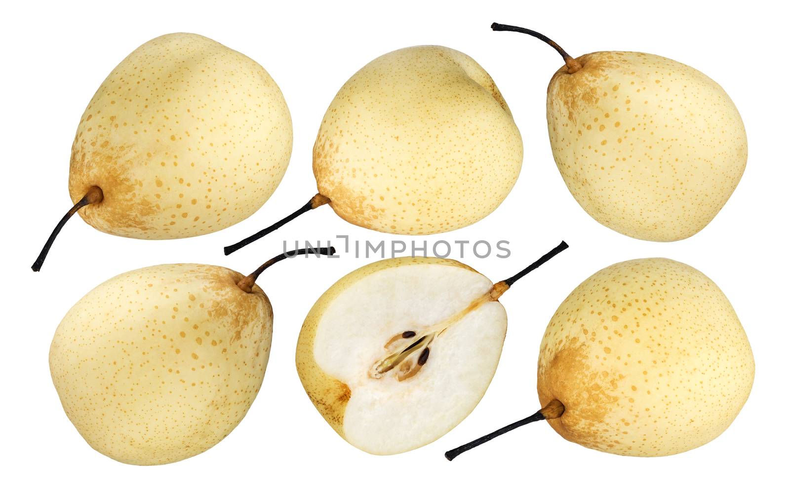 Chinese pear isolated on white background with clipping path. Collection by xamtiw