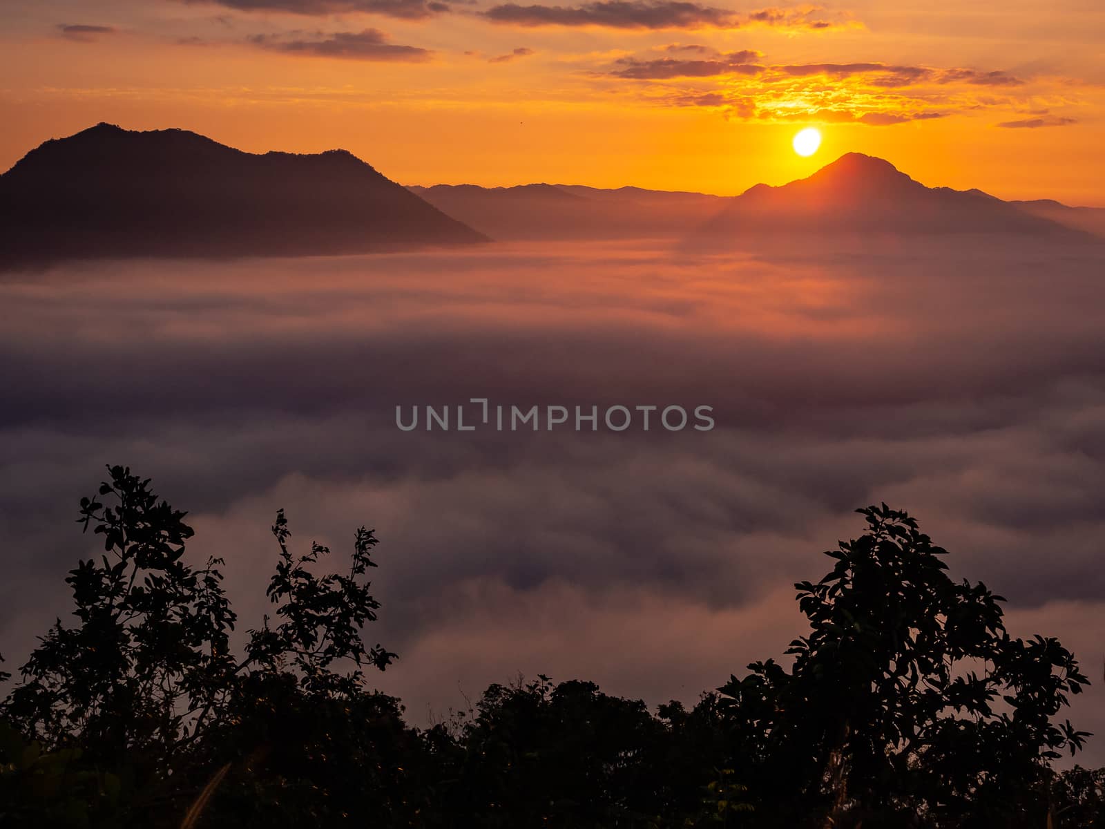 Beautiful landscape of sea of fog on Phu Thok Mountain at Chiang Khan ,Loei Province in Thailand. Sunrise in the morning.