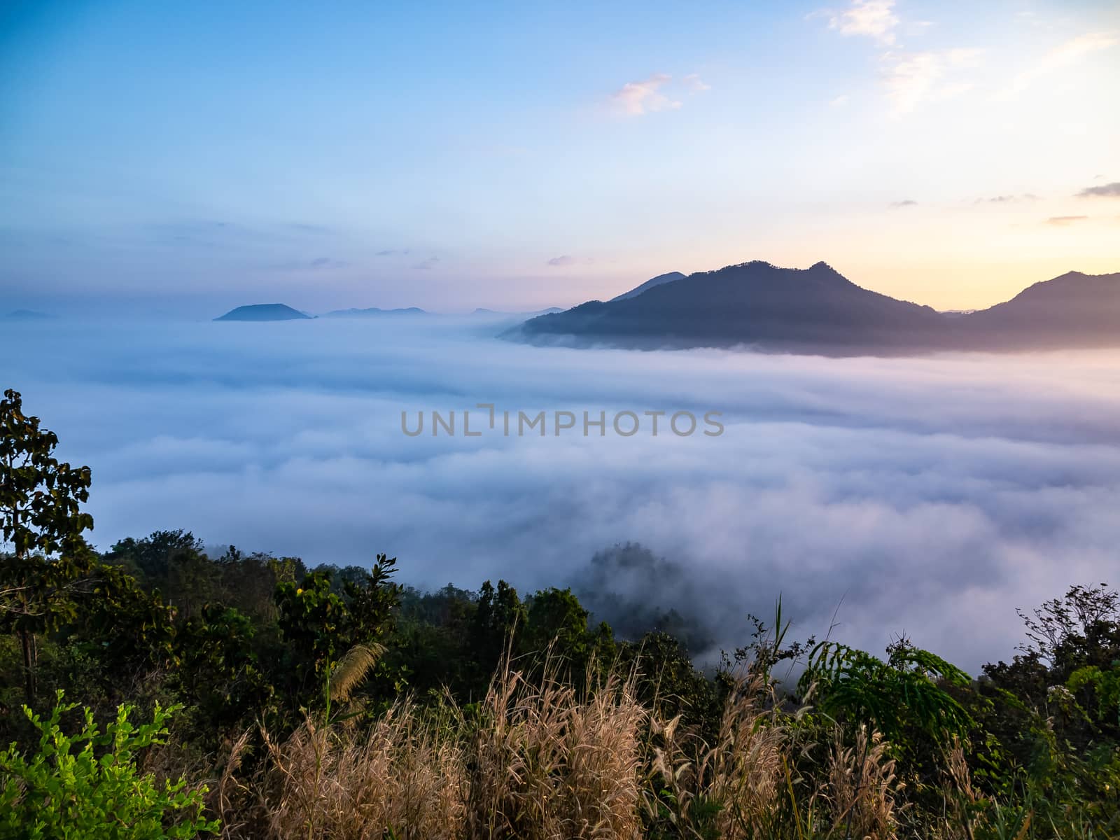 Beautiful landscape lot of fog Phu Thok by simpleBE