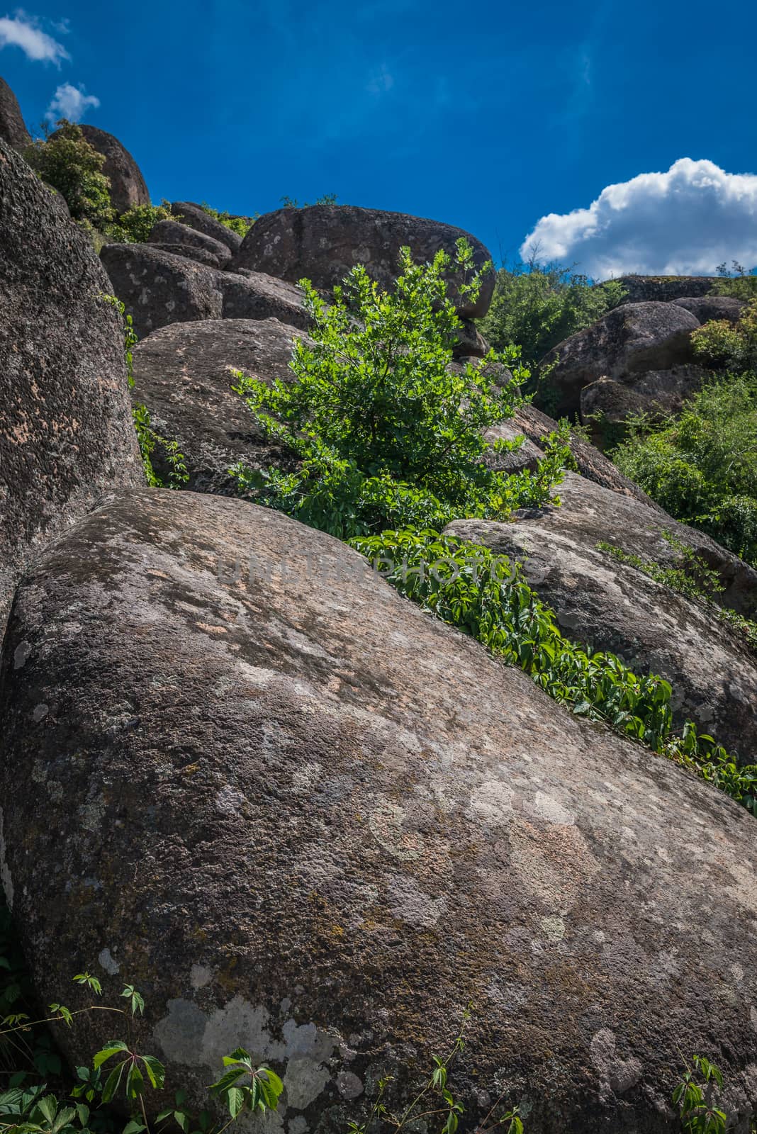 Arbuzinka Rocks in the Actovo canyon, Ukraine by Multipedia