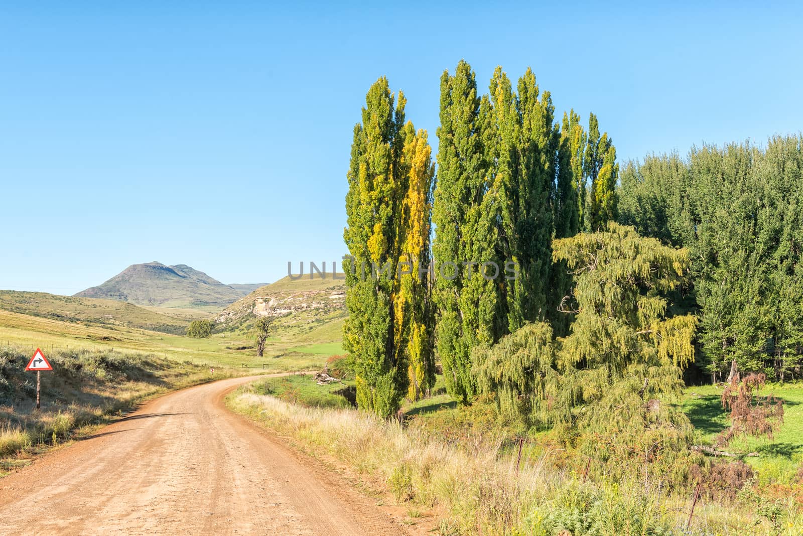 Autumn farm landscape on road R396 between Rhodes and Barkly-East in the Eastern Cape Province