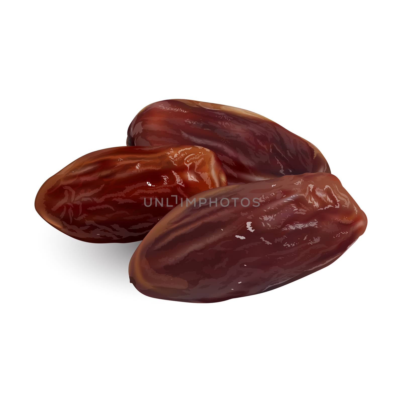 Date fruit, on white background by ConceptCafe