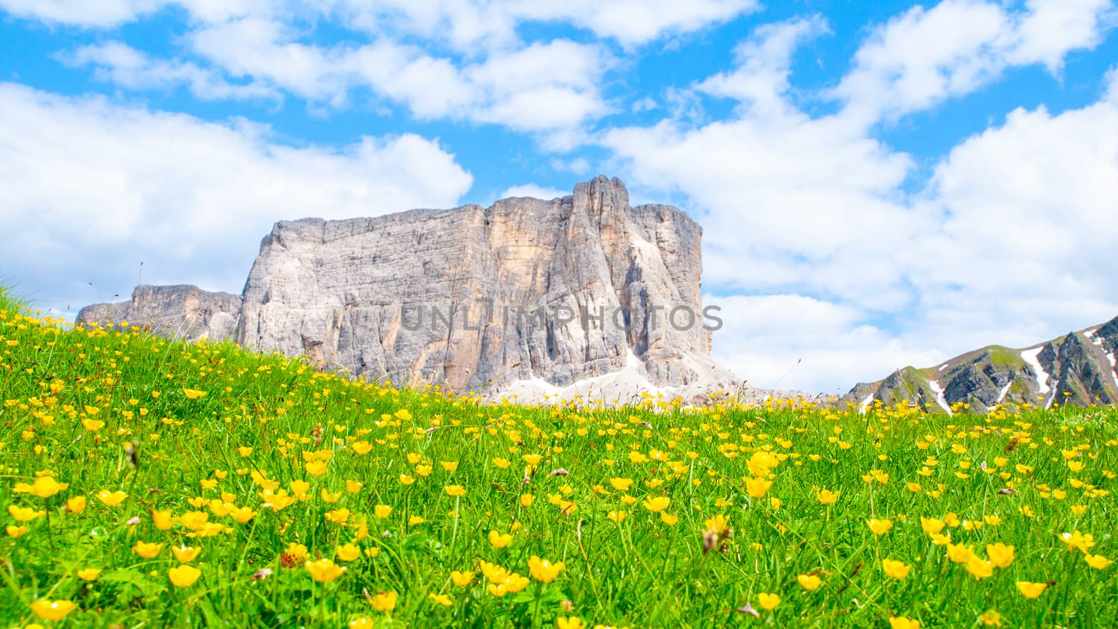 Lastoni de Formin, aka Ponta Lastoi de Formin. Giant mountain block with blooing meadow and summer sky, Dolomites, Italy by pyty