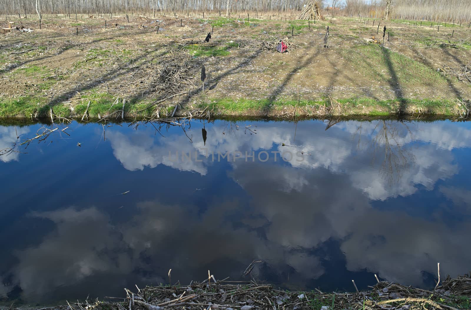 Irrigation canal during early spring and the other side