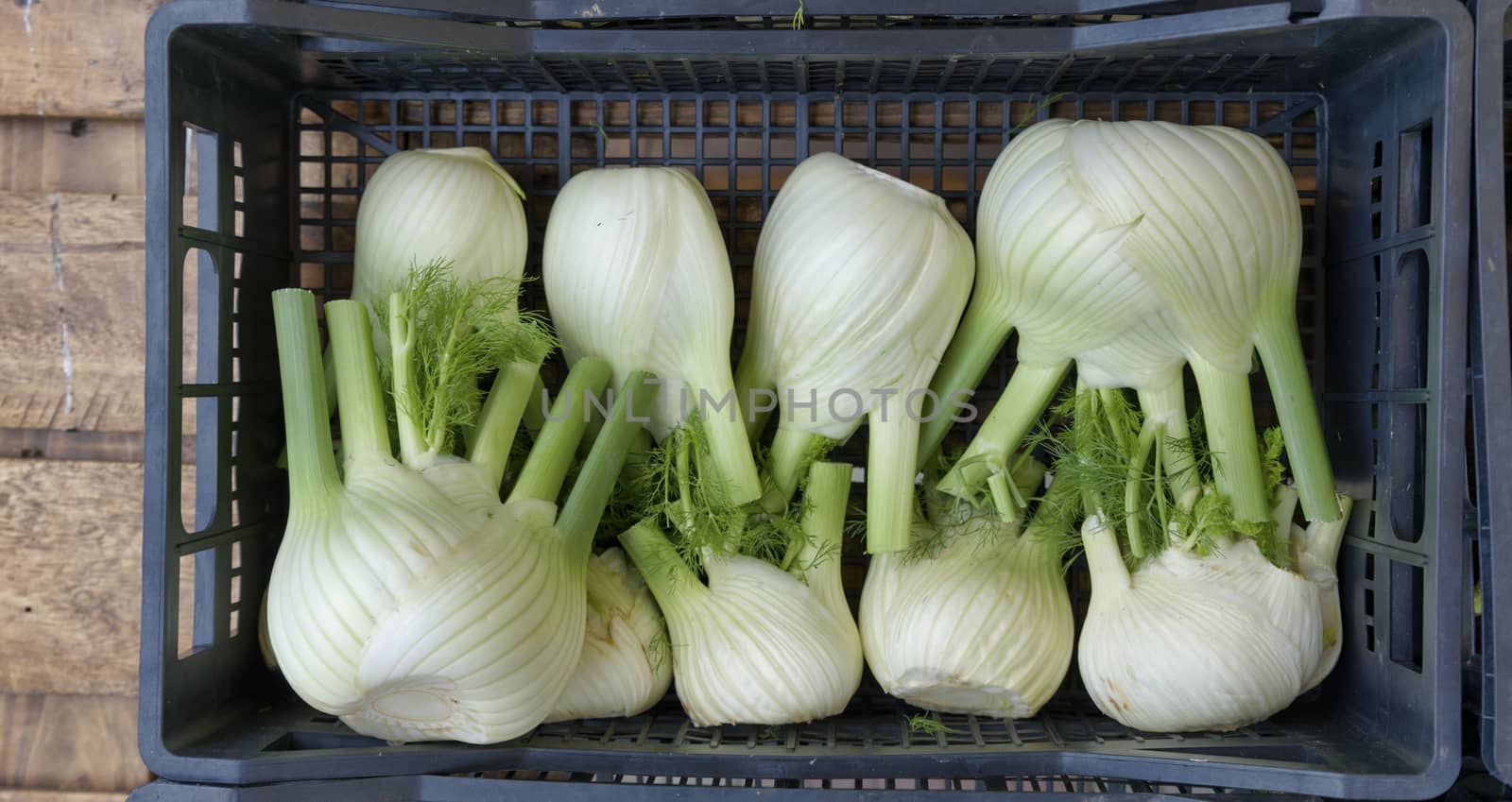 market stall with fresh raw fennel