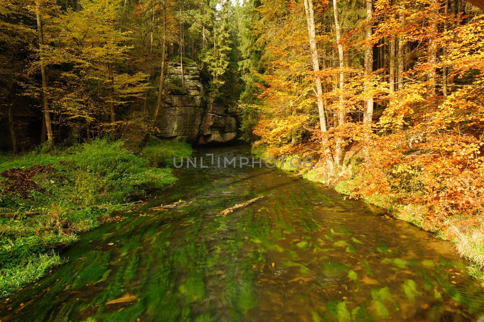 Autumn colored trees, leaves, rocks around the beautiful river