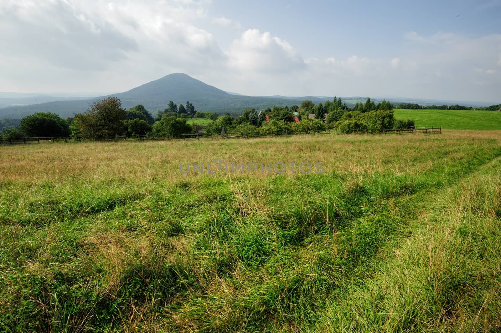 Beautiful green landscape with meadow, trees and sky