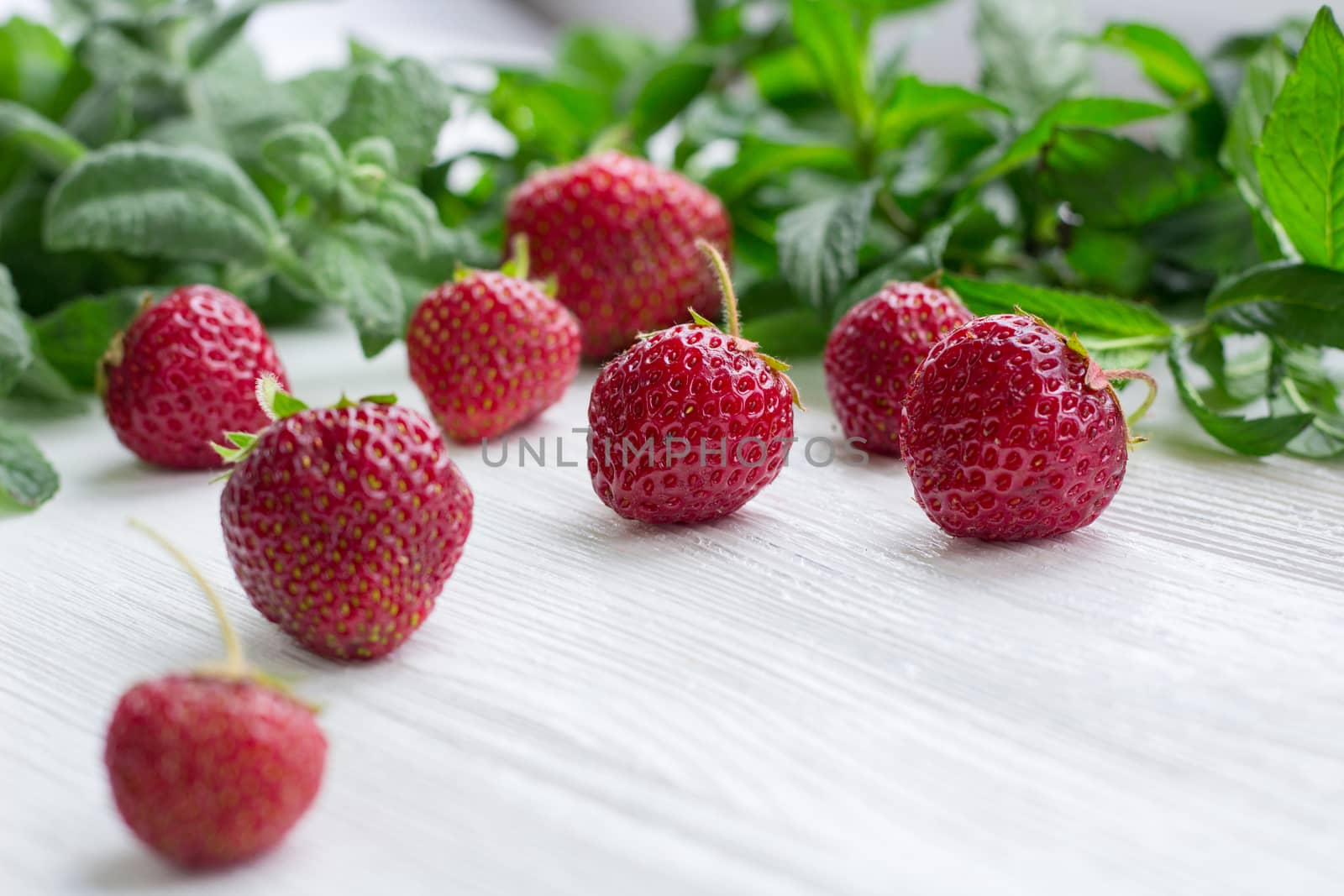 Close-up of red strawberries with green herbal mix of fresh mint and melissa herbs on white wooden background