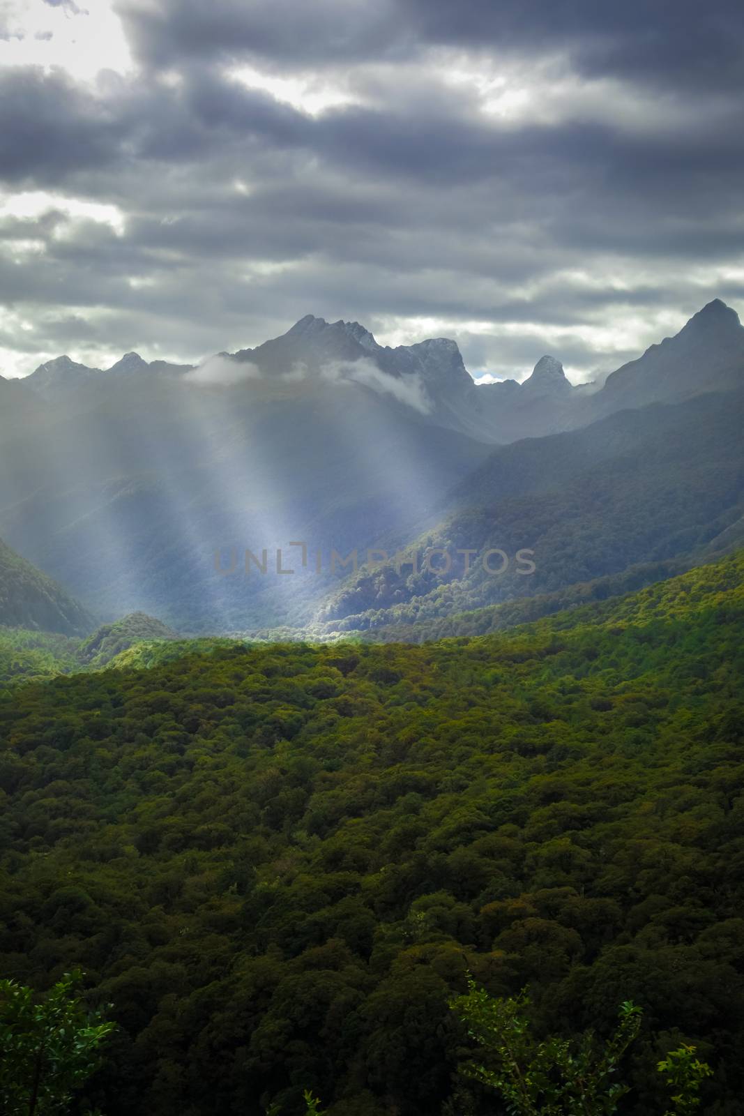 Fiordland national park stormy landscape, New Zealand southland