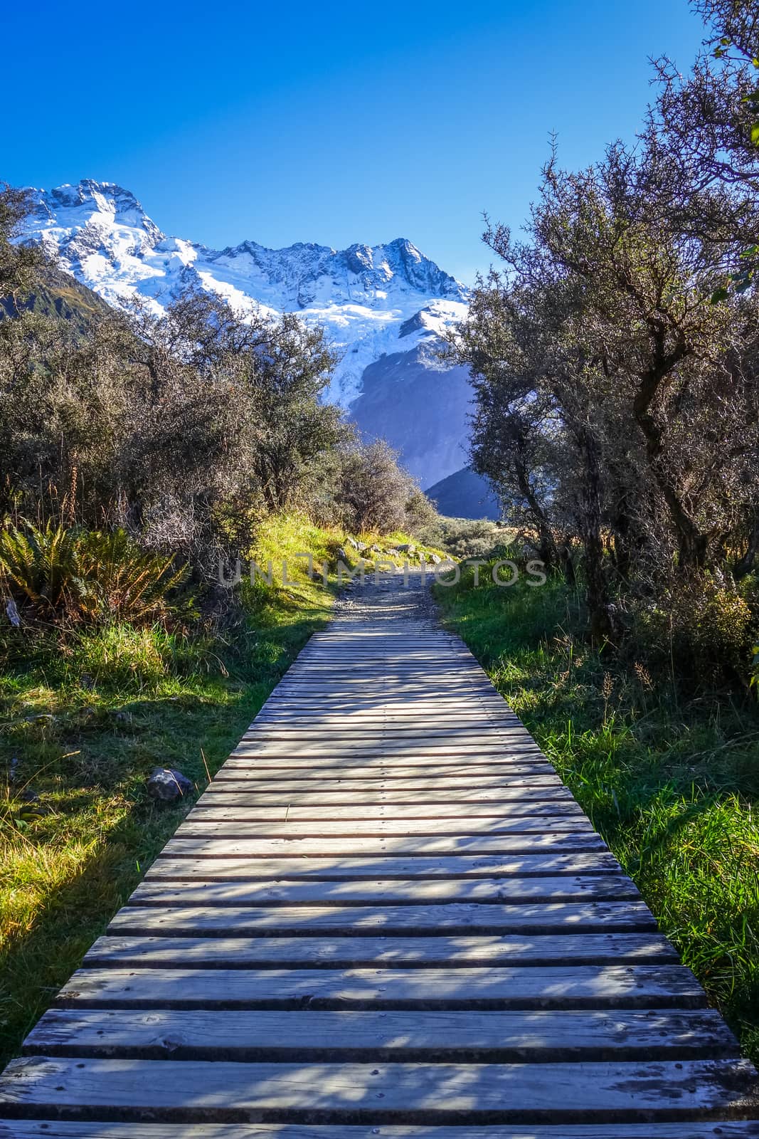 Hooker Valley Track, Aoraki Mount Cook, New Zealand by daboost