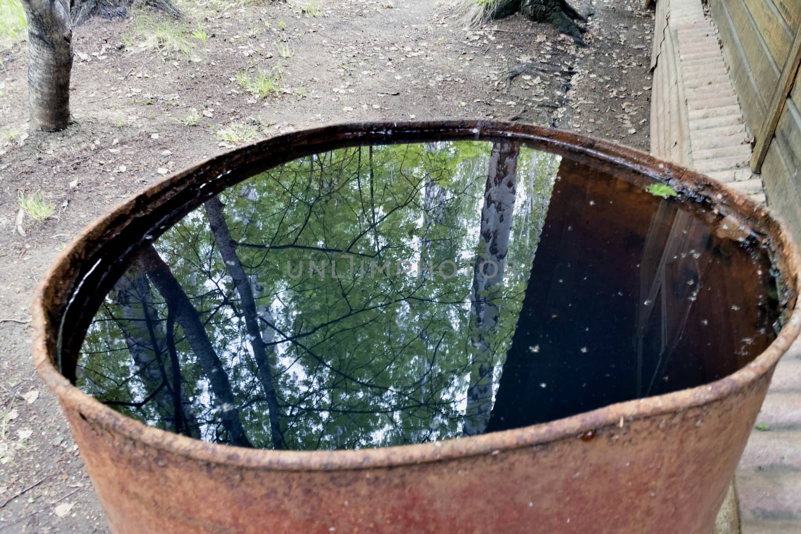 reflection of green trees in a barrel of water in calm weather