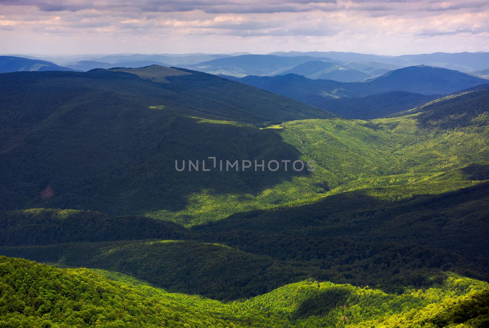 forested rolling hills of Carpathian mountains by Pellinni