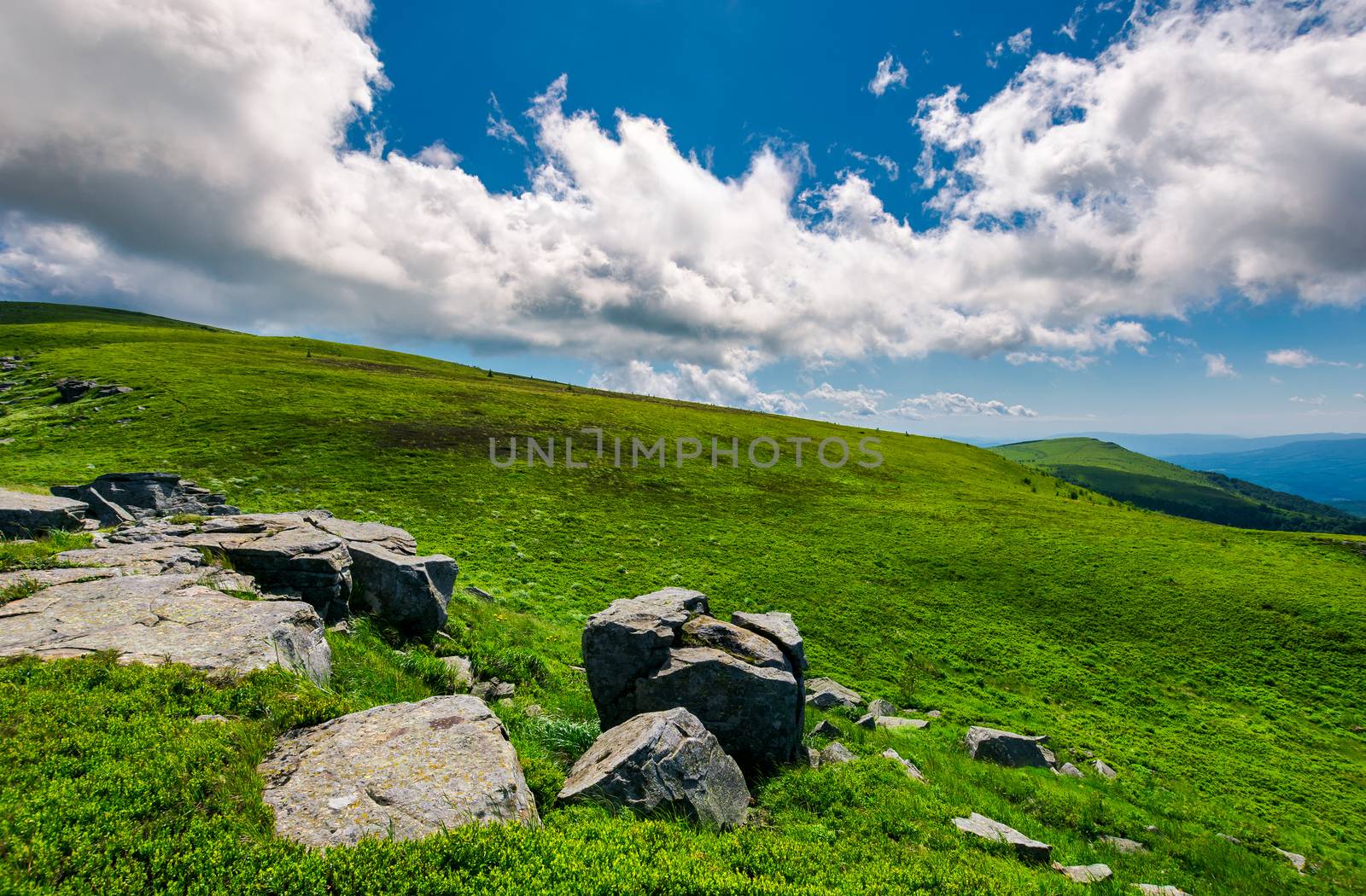 rocks on the edge of grassy meadow on hillside by Pellinni