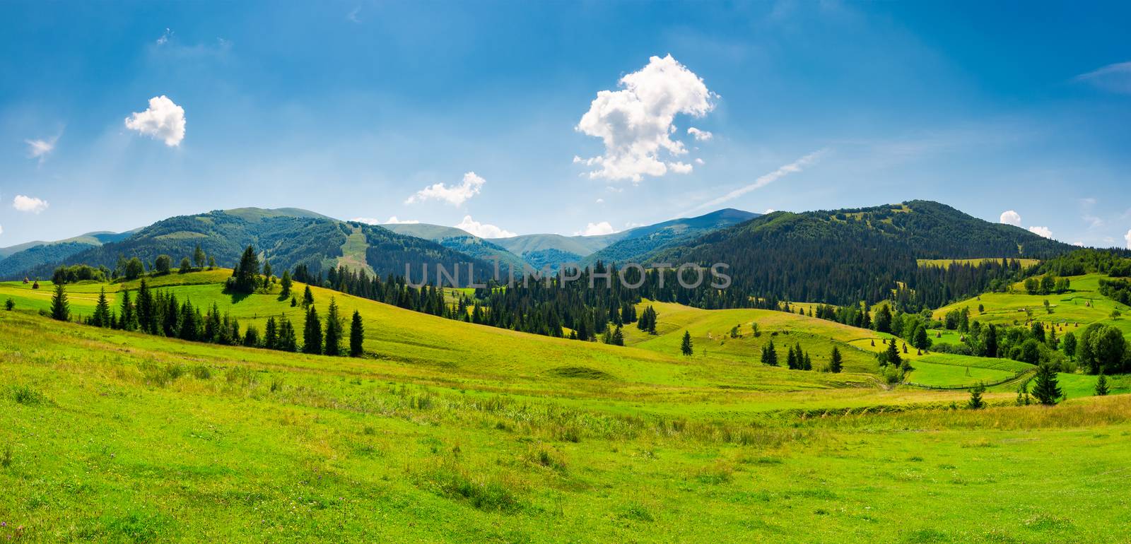 panorama of mountainous landscape in summer by Pellinni