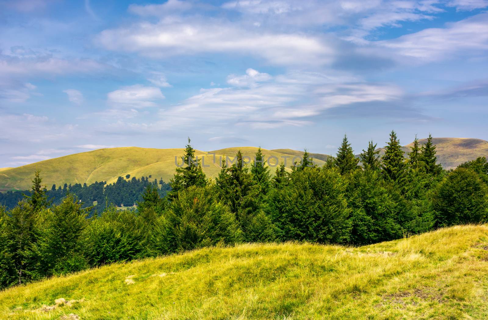 summer landscape with forested hills by Pellinni