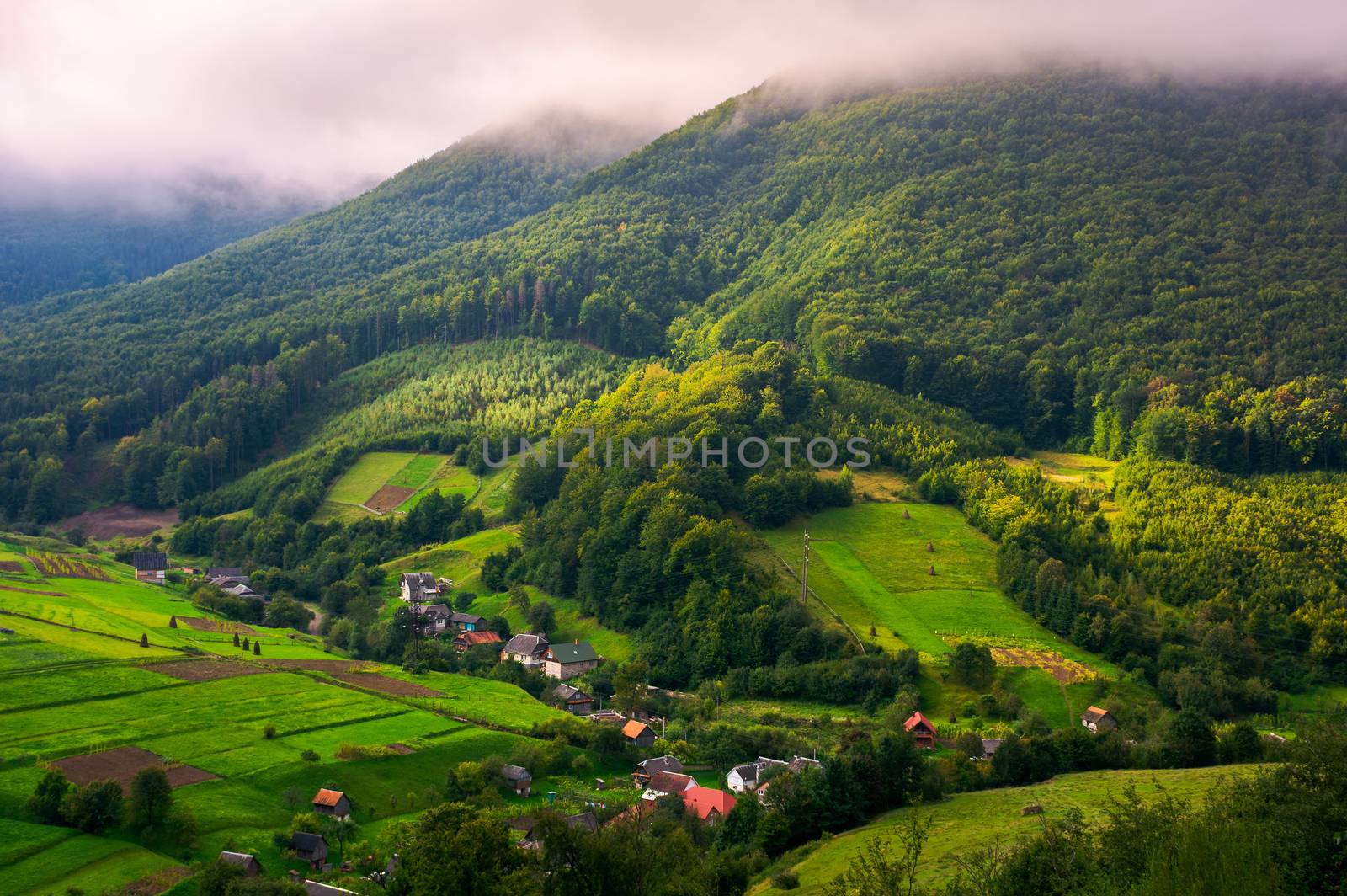 Abranka village in Carpathian mountains. lovely rural scenery on a cloudy sunrise. 