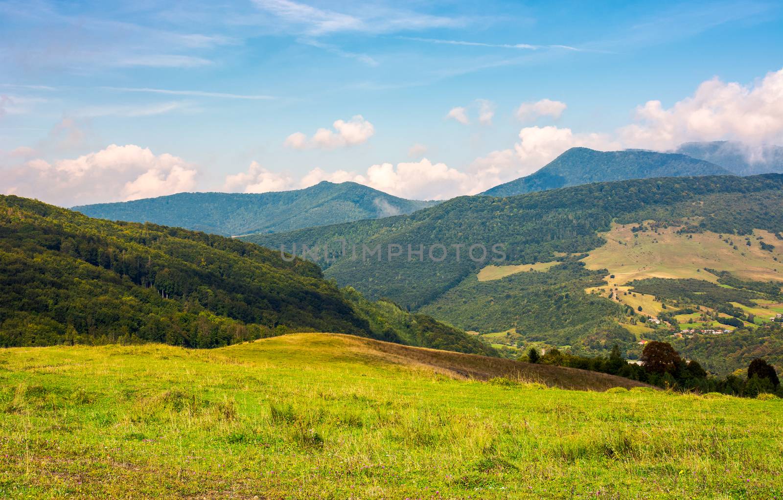 grassy hill in late summer. beautiful mountainous landscape on a cloudy day