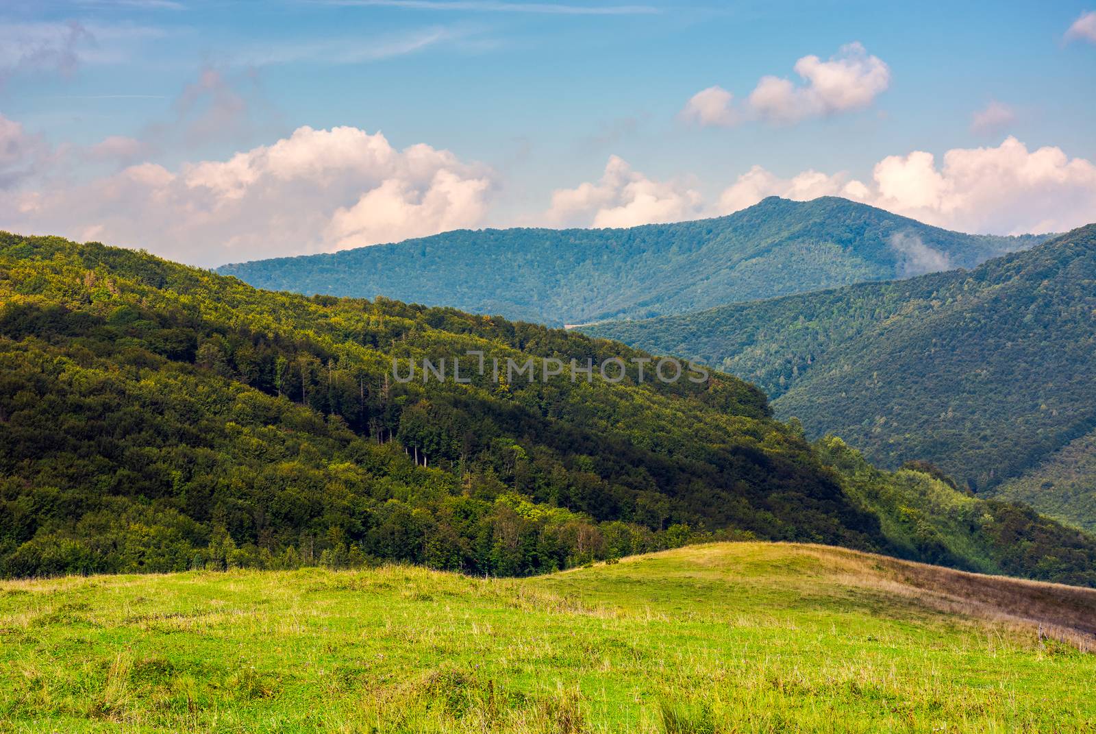 meadow on a mountain slope by Pellinni