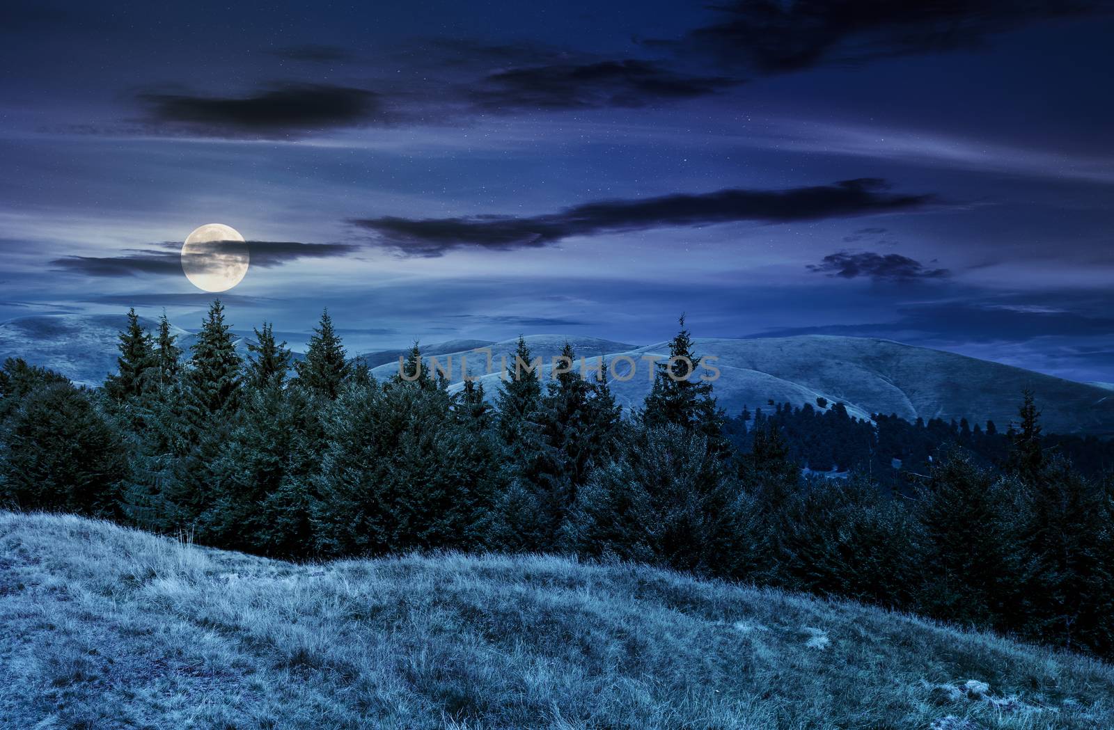 summer landscape with forested hills at night by Pellinni