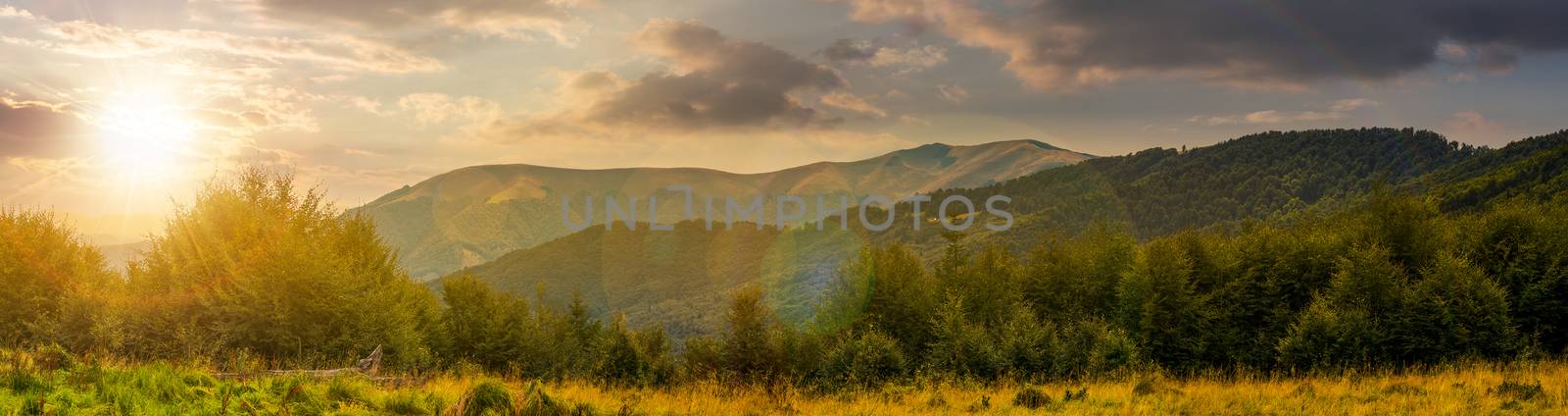 panorama of Carpathian mountains at sunset by Pellinni