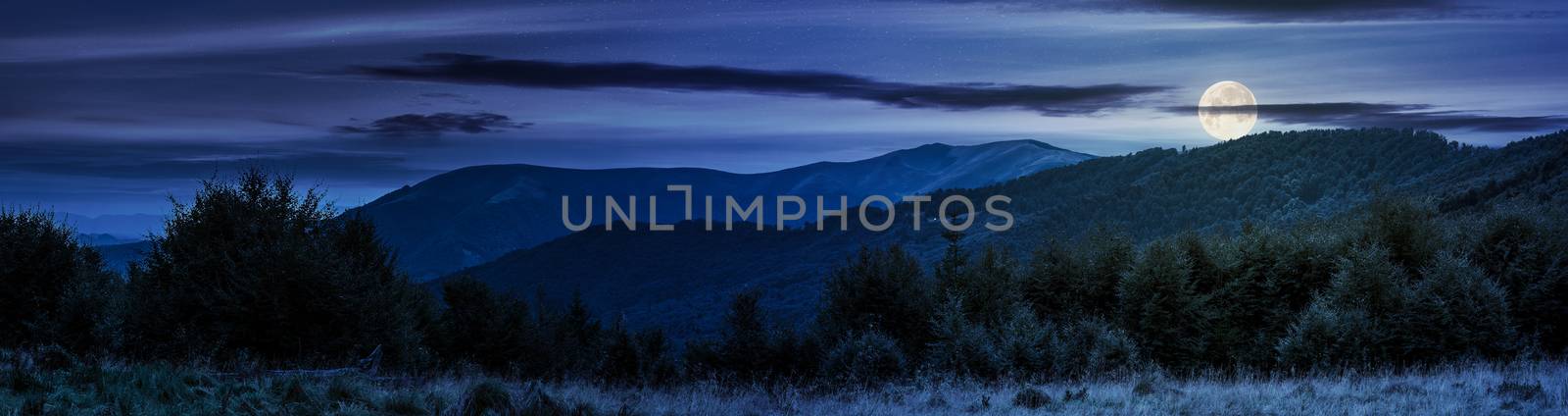 panorama of Carpathian mountains at night by Pellinni