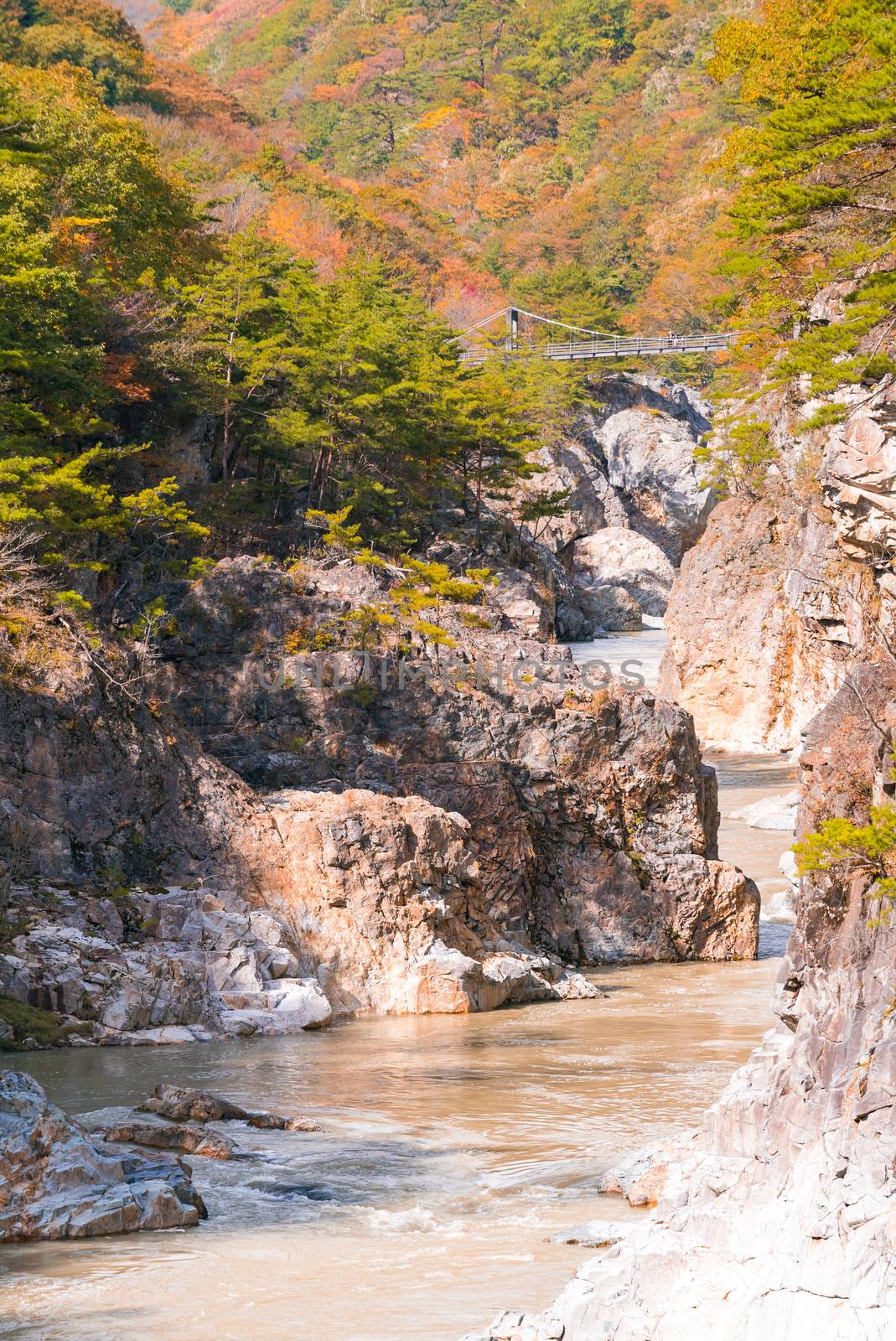 Ryuyo Gorge canyon Nikko Japan by vichie81