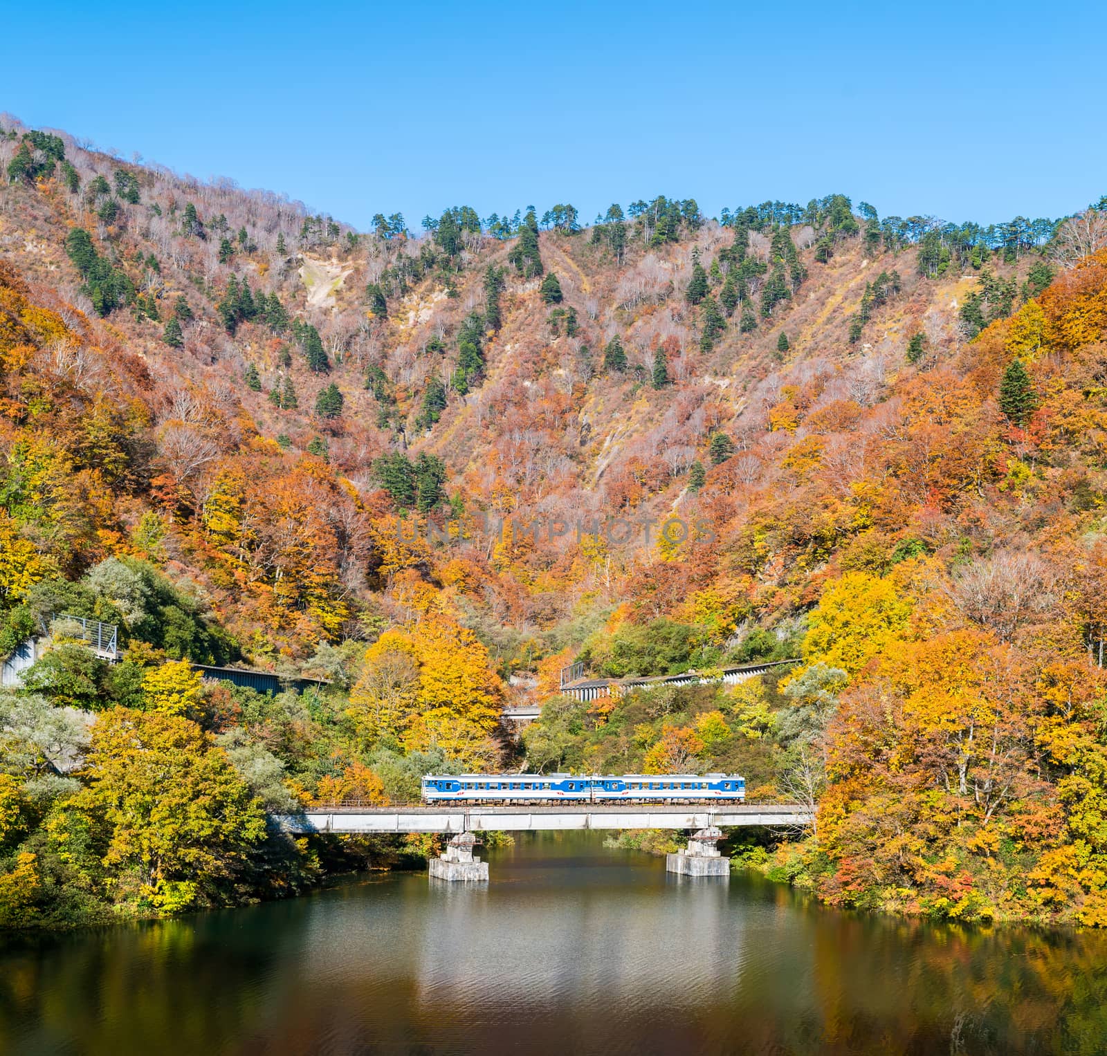 Autumn fall foliage Koyo in Tagokura dam Tadami city Fukushima Japan 