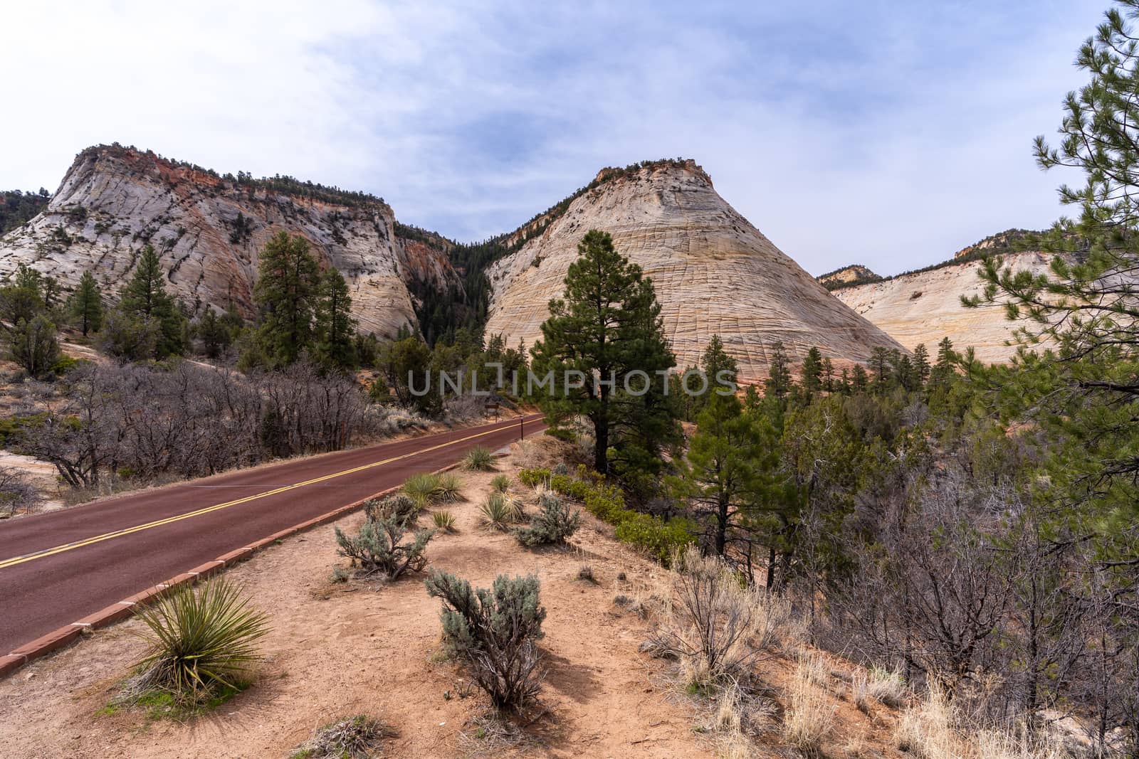 Checkerboard Mesa at Zion national park by vichie81