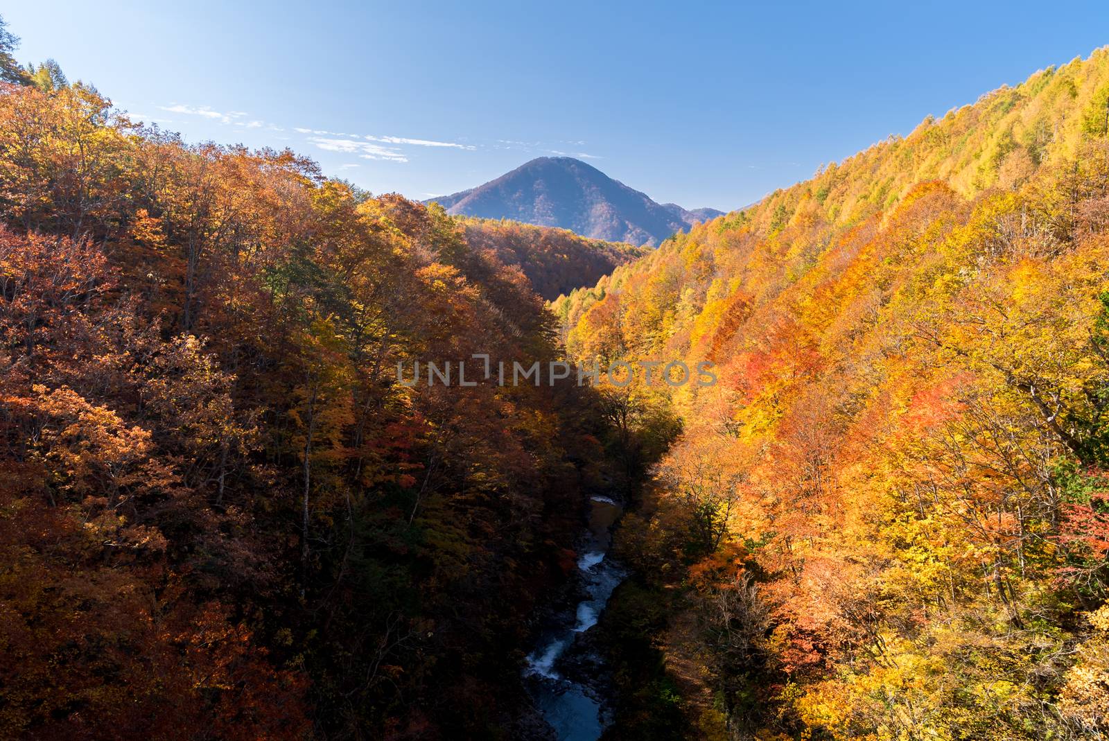 Nakatsugawa gorge from bridge at Fukushima in autumn fall Japan