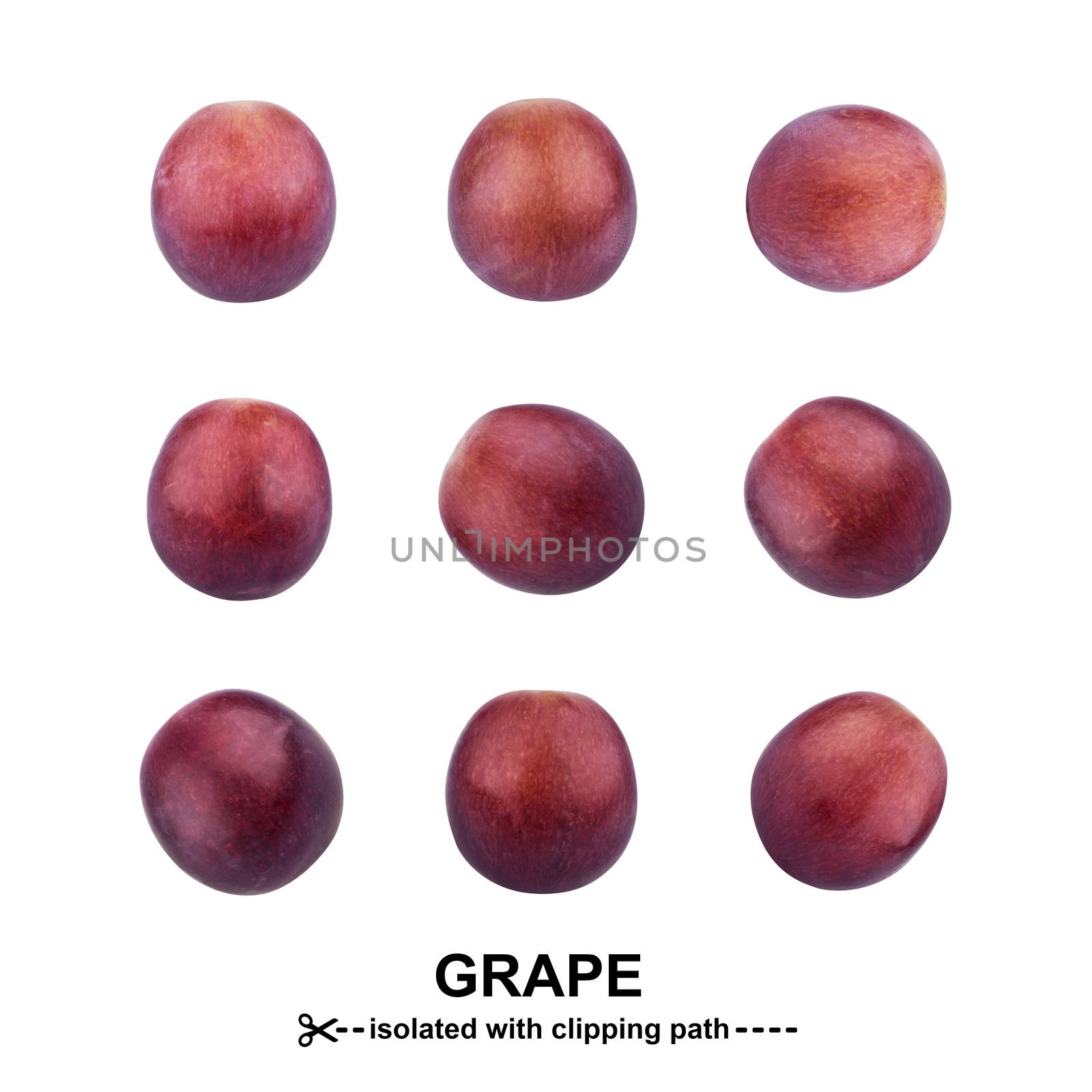 Grape isolated on white background. Studio shot