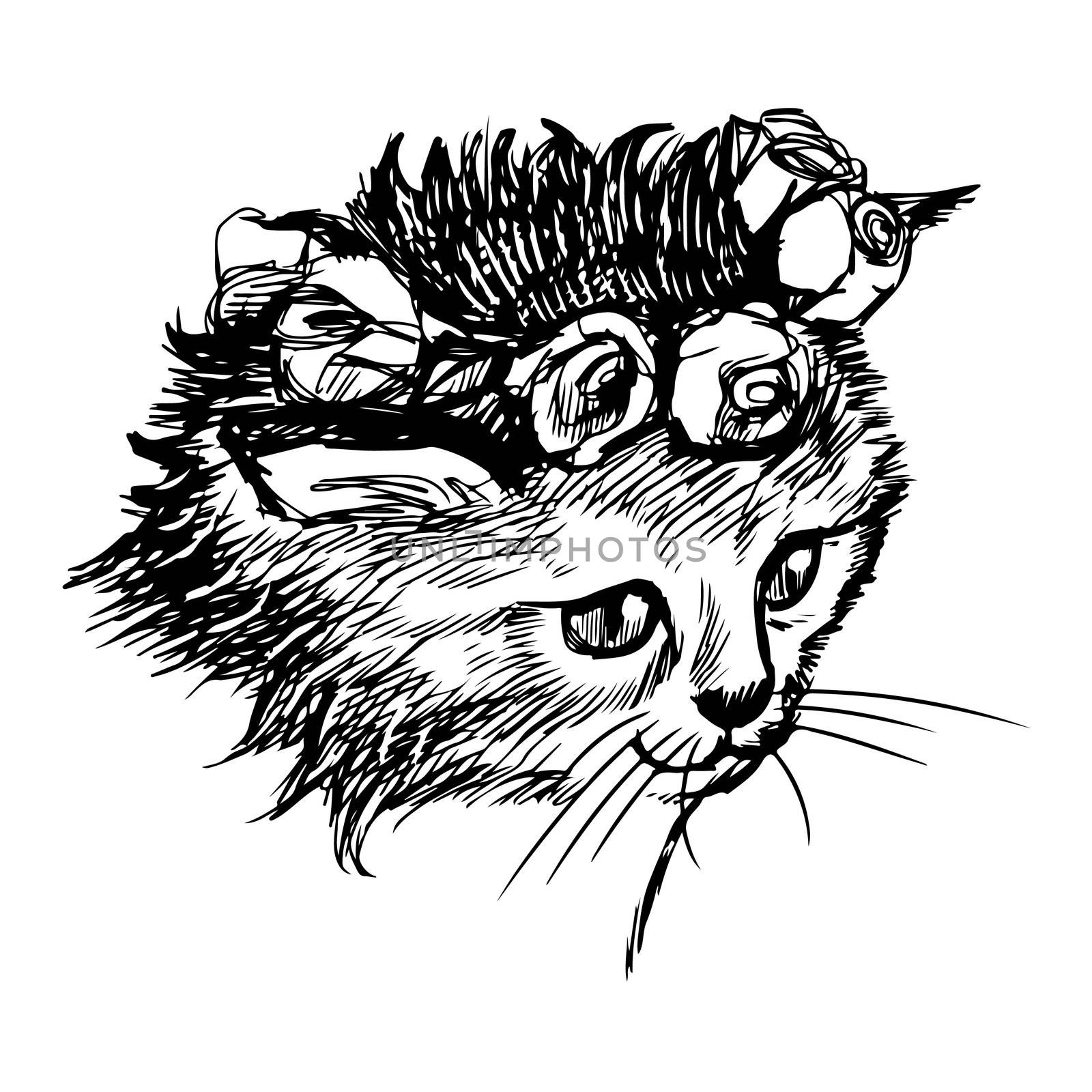 freehand sketch illustration of little cat, kitten, doodle hand drawn
