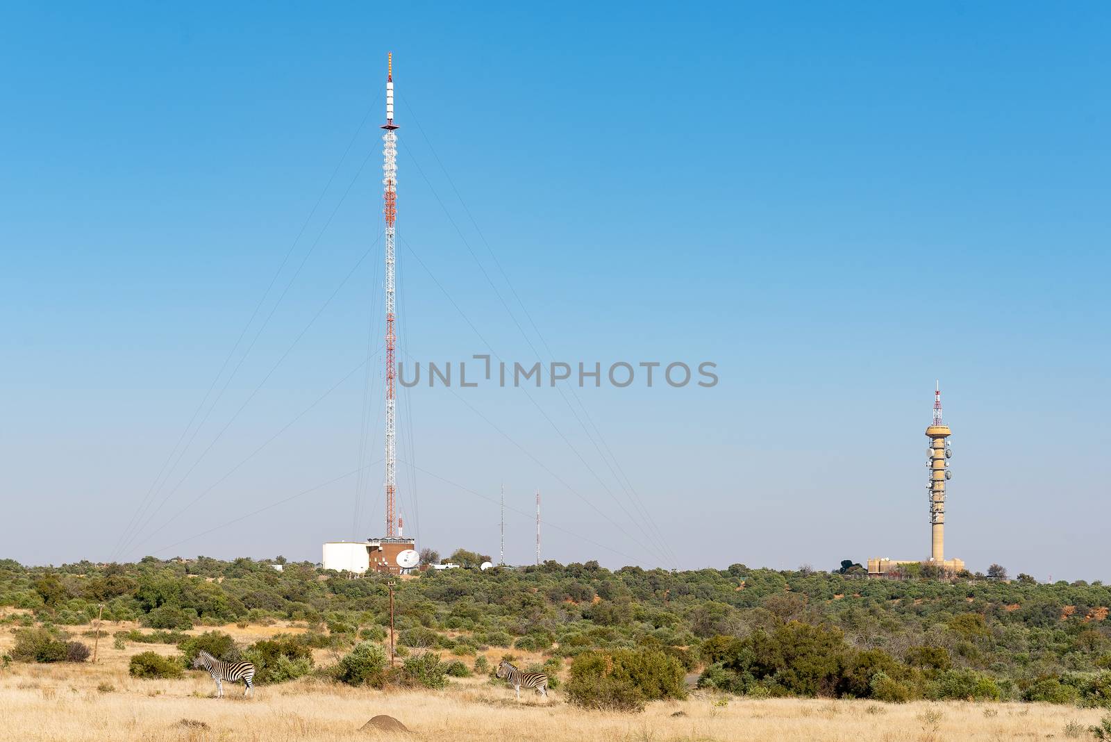 A microwave telecommunications tower and a TV and radio broadcast tower on Naval Hill in Bloemfontein. Two zebras are visible in front