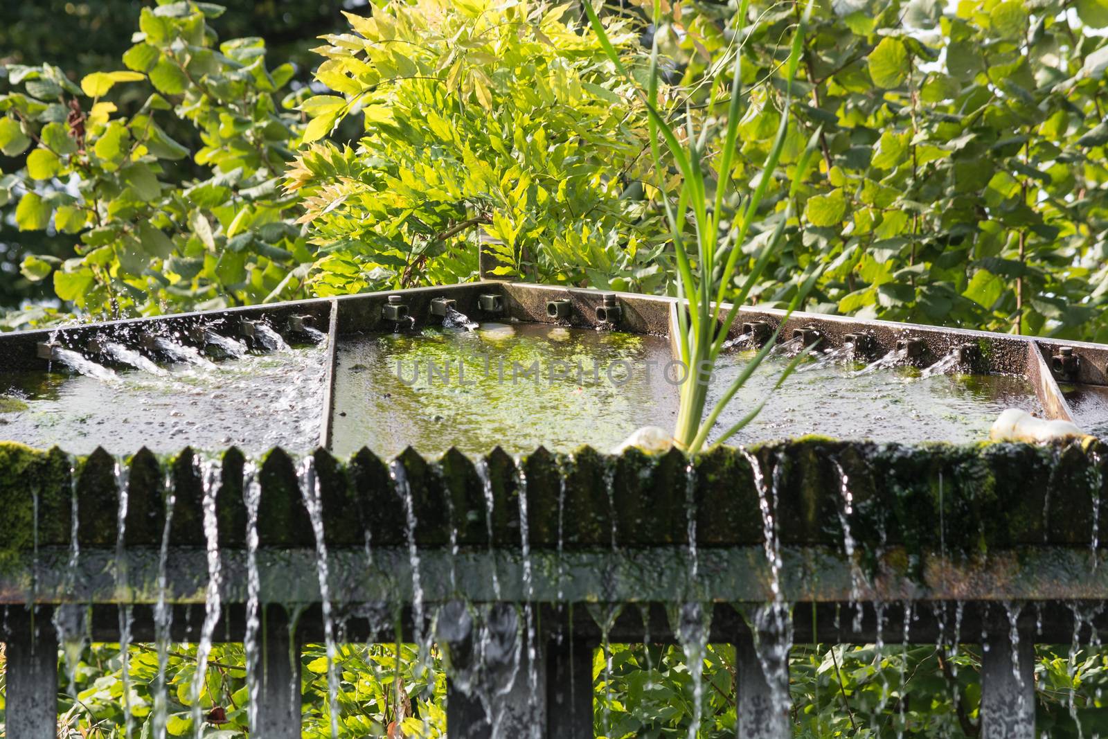 Small weir waterfall in a public park