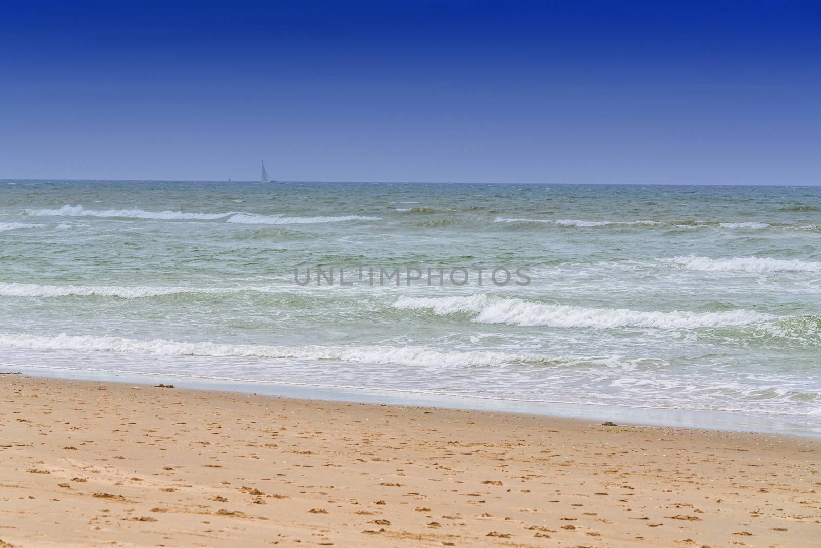 Protected landscape, dune on the beach of Holland in the background blue sky.