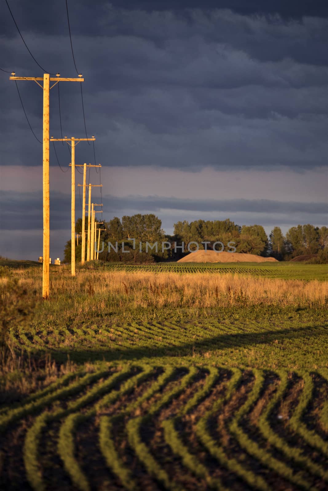 Prairie Storm Clouds Canada Saskatchewan Summer Warnings