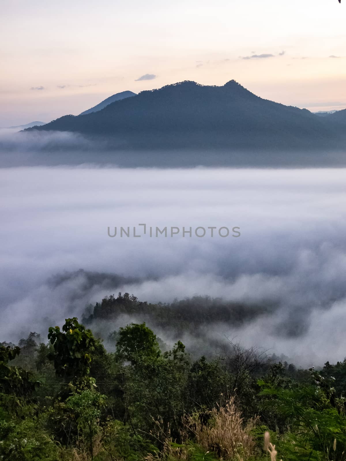 Beautiful landscape of sea of fog on Phu Thok Mountain at Chiang Khan ,Loei Province in Thailand. Sunrise in the morning.