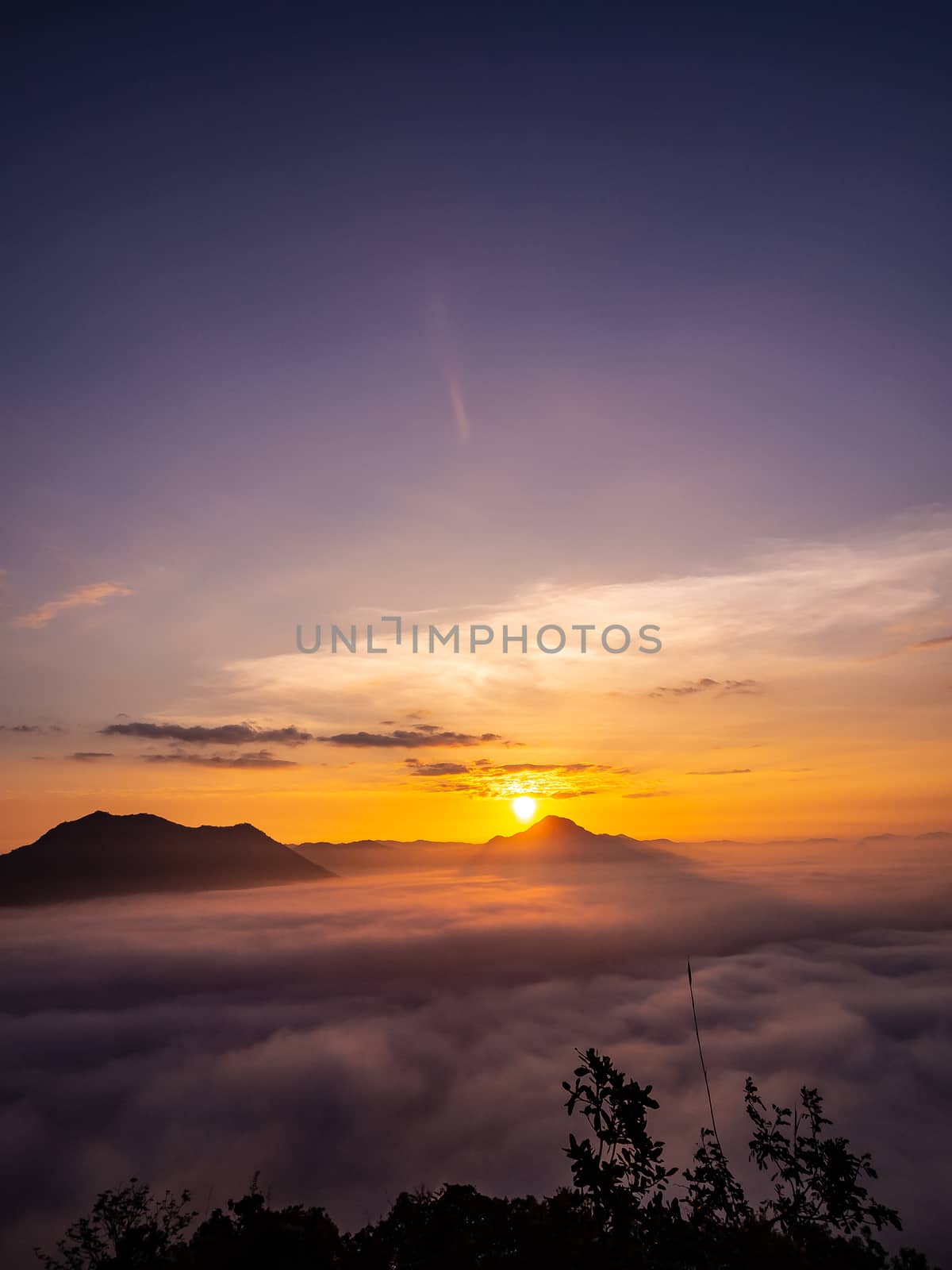 Beautiful landscape of sea of fog on Phu Thok Mountain at Chiang Khan ,Loei Province in Thailand. Sunrise in the morning.