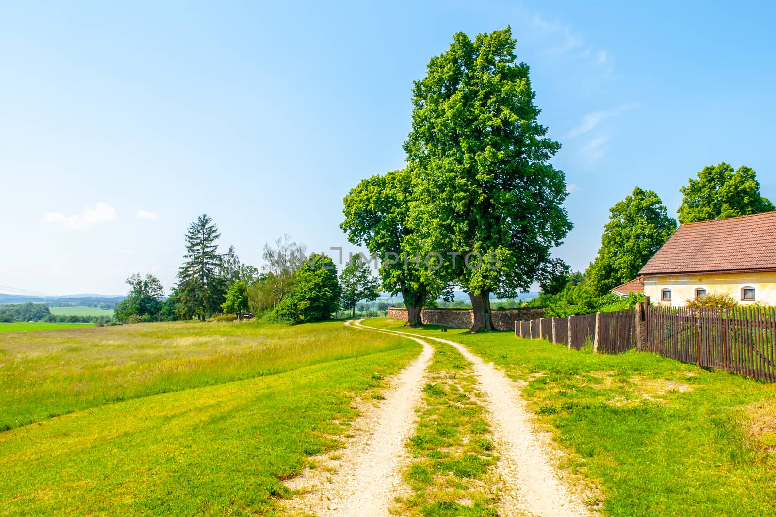 Czech rural landscape. Green leafy trees beside country road. Idyllic place to have a rest by pyty