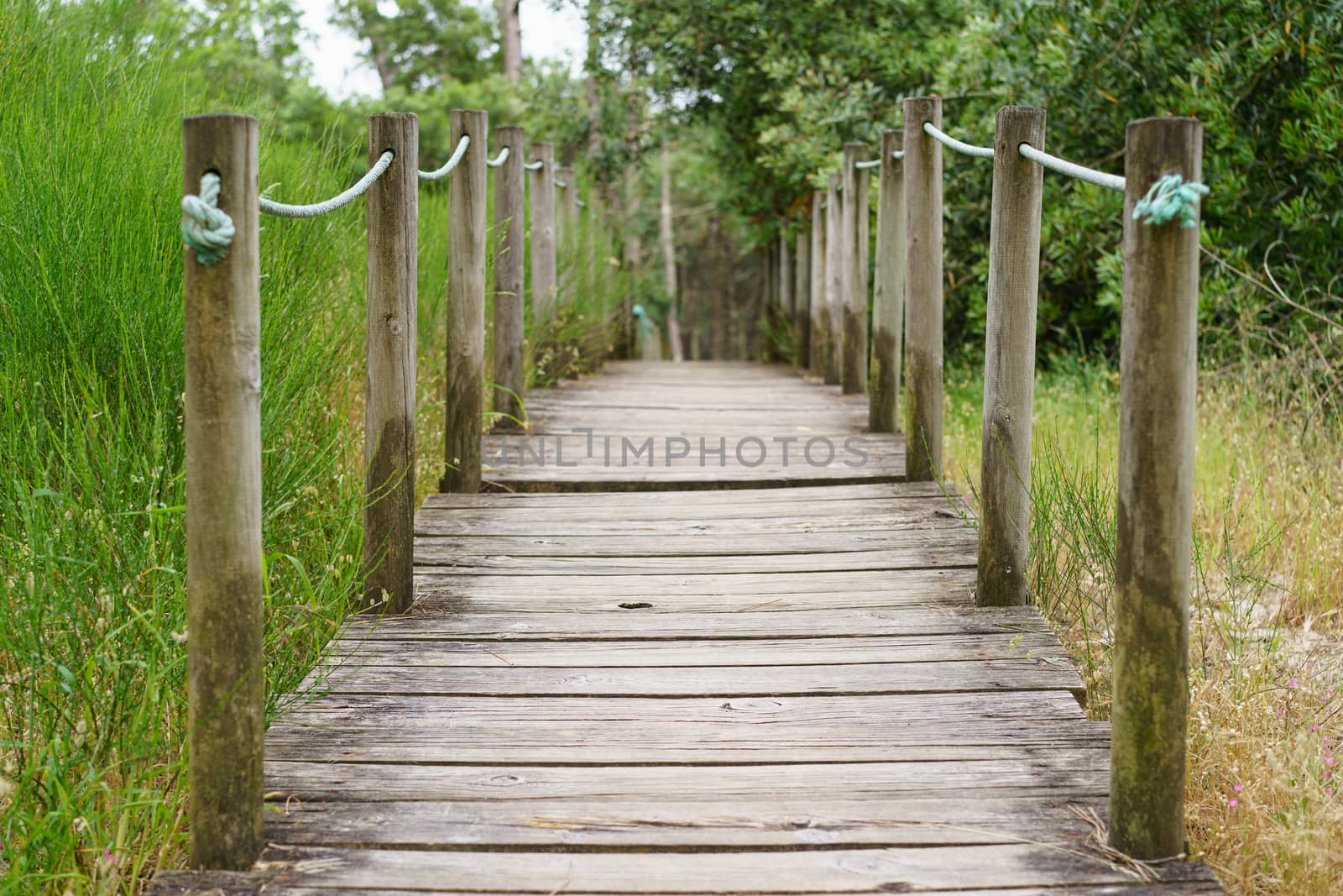 Hinged wooden bridge in the park by yury_kara