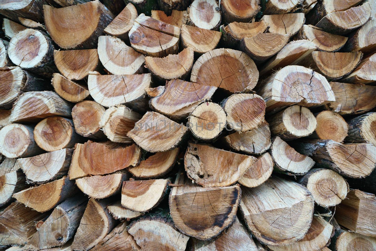 Folded together firewood