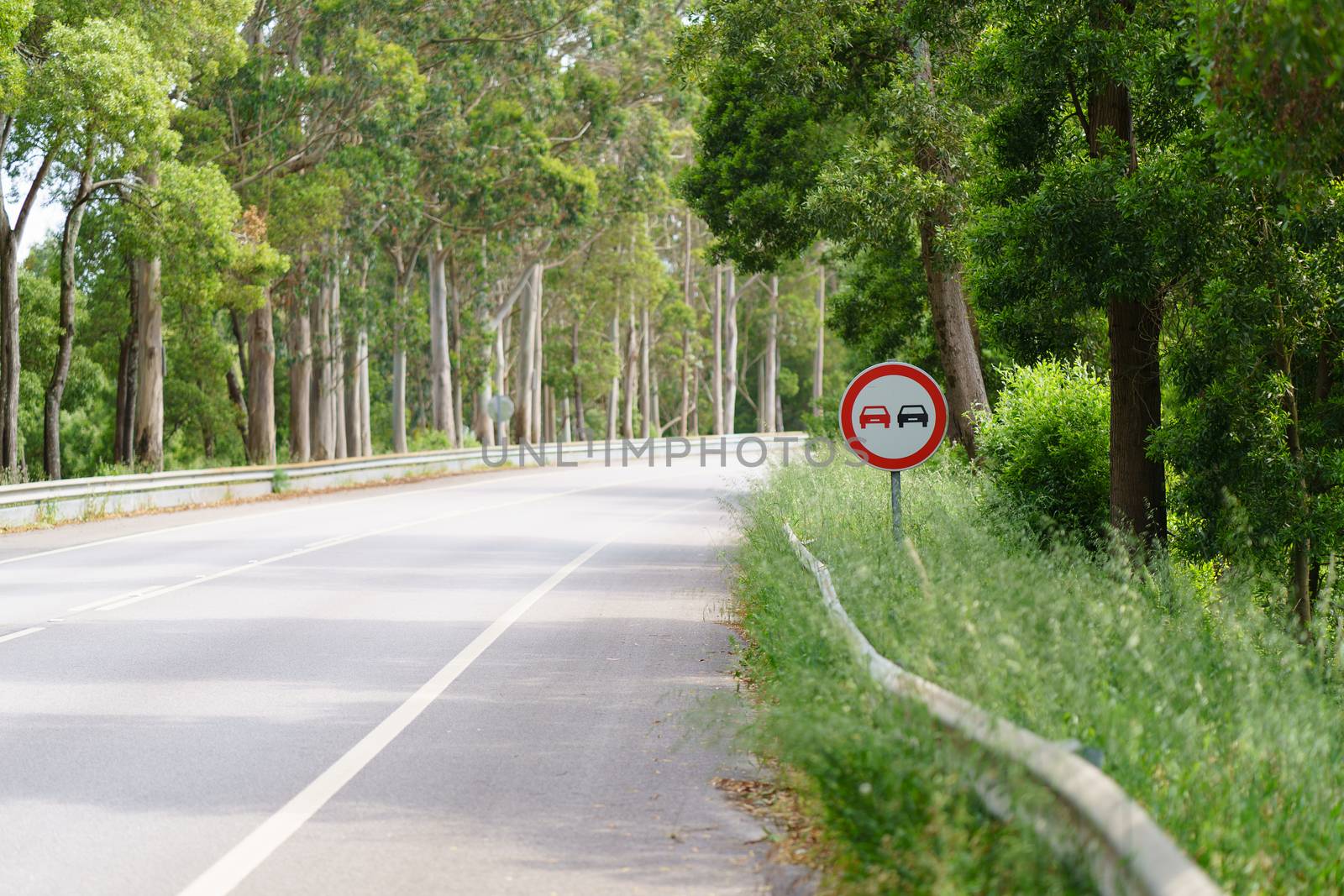 Asphalt road through the forest in Northern Portugal. "Prohibition of overtaking" sign