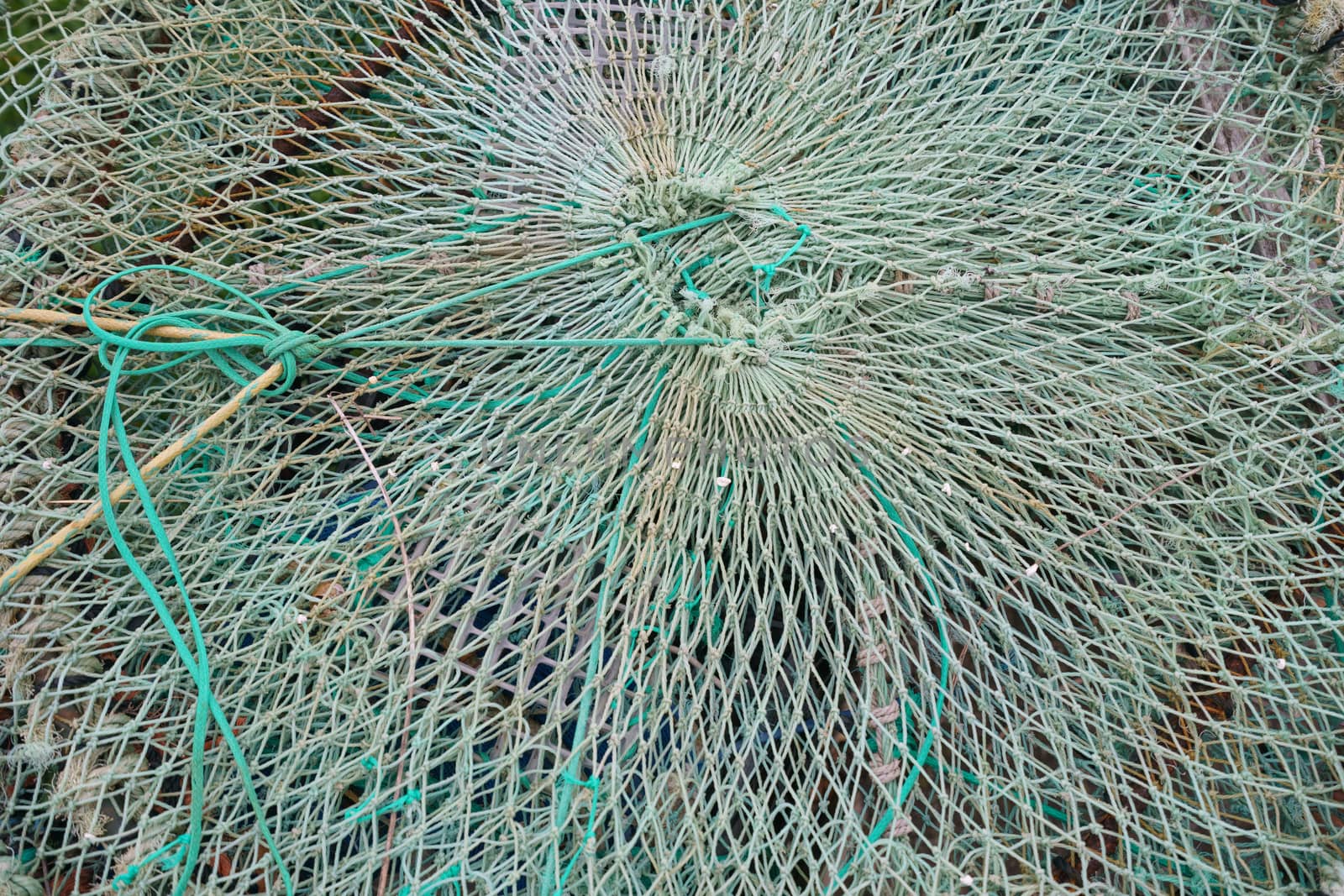 An image of a fish trap