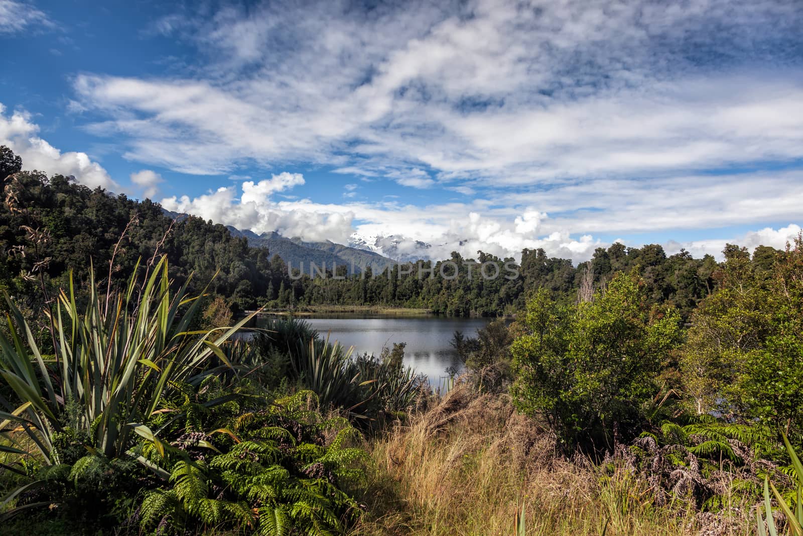 Lake Mapourika